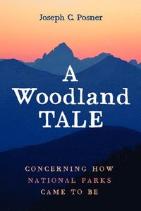bokomslag A Woodland Tale
