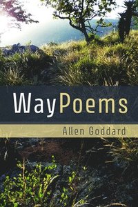 bokomslag WayPoems