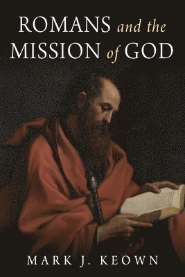 bokomslag Romans and the Mission of God