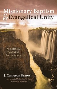 bokomslag Missionary Baptism & Evangelical Unity