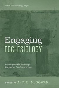 bokomslag Engaging Ecclesiology