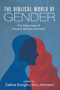 bokomslag The Biblical World of Gender