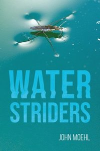 bokomslag Water Striders