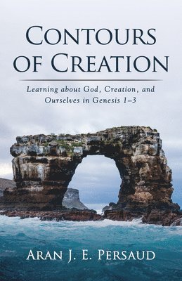 Aran J E Persaud, Aran J. E. Persaud - Contours of Creation, Inbunden