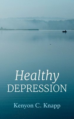 bokomslag Healthy Depression