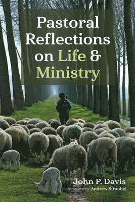 Pastoral Reflections on Life and Ministry 1