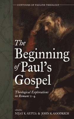 bokomslag The Beginning of Paul's Gospel: Theological Explorations in Romans 1-4