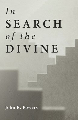 bokomslag In Search of the Divine