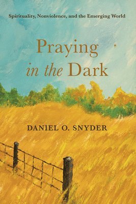 Daniel O Snyder, Daniel O. Snyder - Praying in the Dark, Inbunden