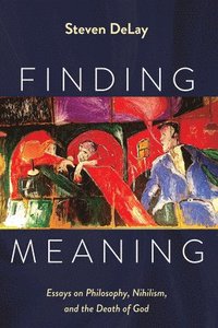 bokomslag Finding Meaning