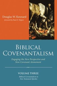 bokomslag Biblical Covenantalism, Volume 3