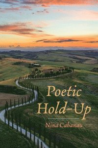 bokomslag Poetic Hold-Up