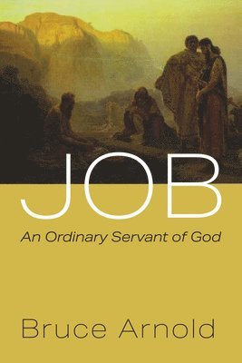 bokomslag Job