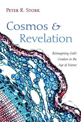 bokomslag Cosmos and Revelation