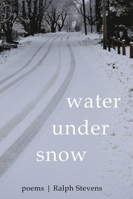 Water under Snow 1