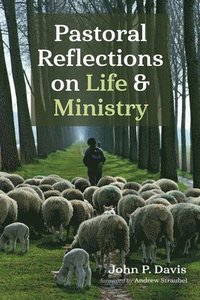 bokomslag Pastoral Reflections on Life and Ministry