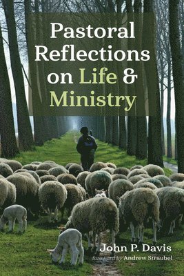 John P Davis, John P. Davis - Pastoral Reflections on Life and Ministry, Häftad