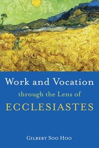 bokomslag Work and Vocation through the Lens of Ecclesiastes