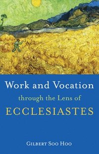 bokomslag Work and Vocation Through the Lens of Ecclesiastes