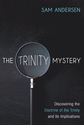 bokomslag The Trinity Mystery