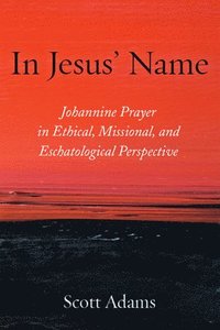 bokomslag In Jesus' Name: Johannine Prayer in Ethical, Missional, and Eschatological Perspective