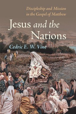 bokomslag Jesus and the Nations: Discipleship and Mission in the Gospel of Matthew