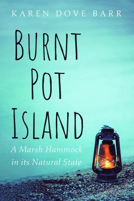 bokomslag Burnt Pot Island