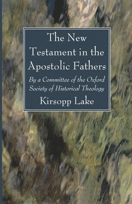 bokomslag New Testament in the Apostolic Fathers