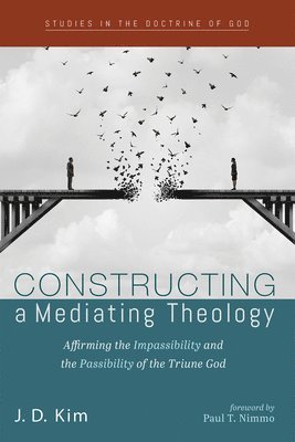 J D Kim - Constructing a Mediating Theology, Häftad