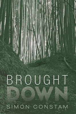 Brought Down 1