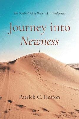 bokomslag Journey into Newness