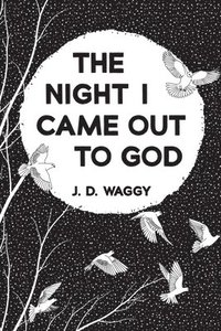 bokomslag Night I Came Out to God