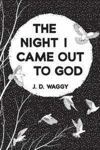 bokomslag The Night I Came Out to God