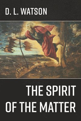 bokomslag Spirit of the Matter