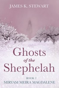bokomslag Ghosts of the Shephelah, Book 2
