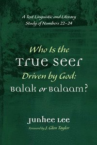 bokomslag Who Is the True Seer Driven by God