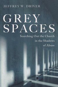 bokomslag Grey Spaces