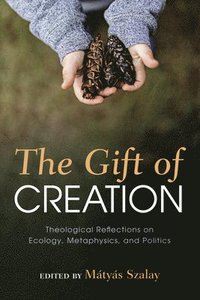 bokomslag The Gift of Creation: Theological Reflections on Ecology, Metaphysics, and Politics