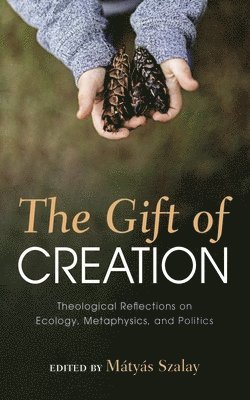 bokomslag Gift of Creation