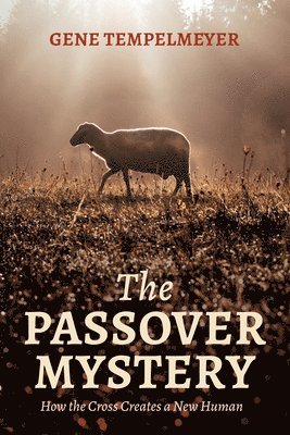 bokomslag Passover Mystery