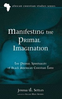 bokomslag Manifesting the Primal Imagination