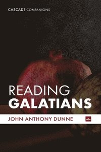 bokomslag Reading Galatians