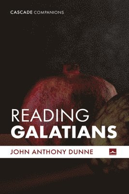 bokomslag Reading Galatians