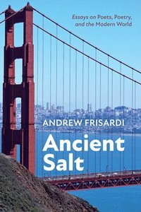 bokomslag Ancient Salt