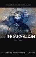 Andrew Hollingsworth, R T Mullins - Incarnation, Inbunden