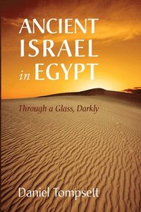 bokomslag Ancient Israel in Egypt