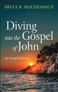 bokomslag Diving Into the Gospel of John