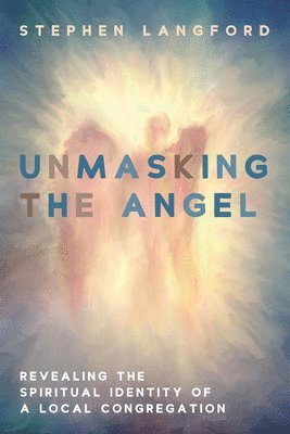 bokomslag Unmasking the Angel