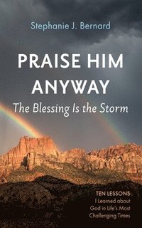 bokomslag Praise Him Anyway: The Blessing Is the Storm