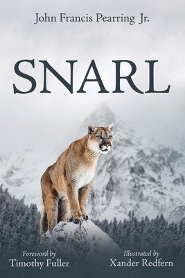 bokomslag Snarl